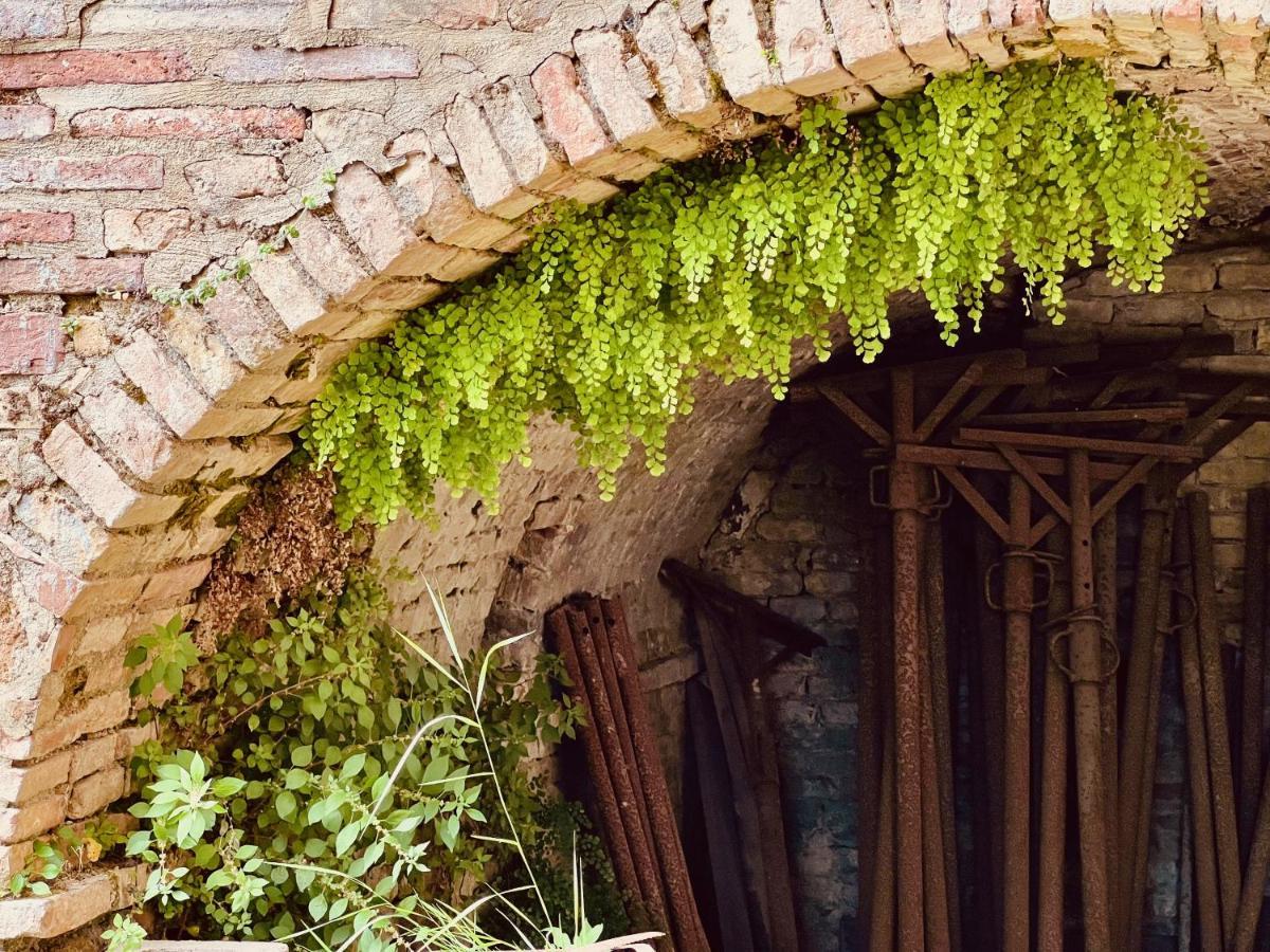 Le Fonti Di San Gimignano Apartment Bagian luar foto